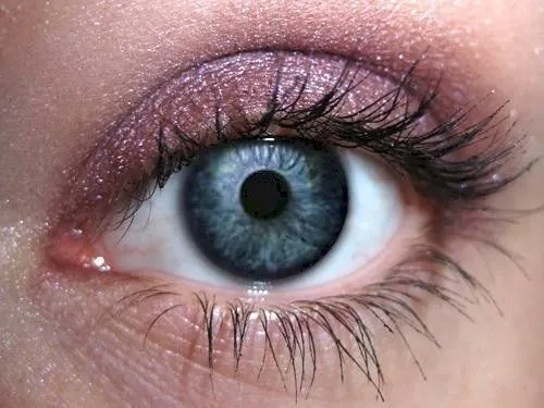 Acai Eyeshadow