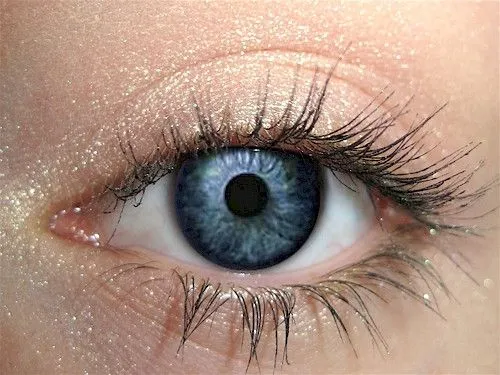 Cashmere Eyeshadow