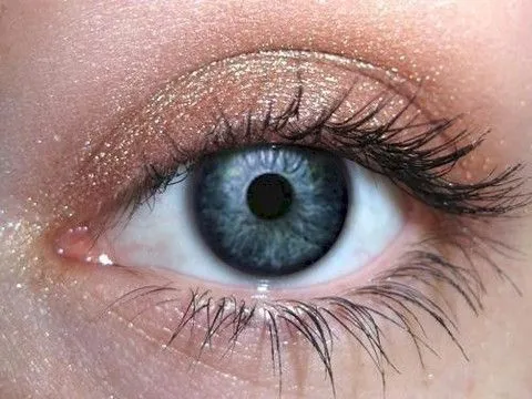 Chai Eyeshadow