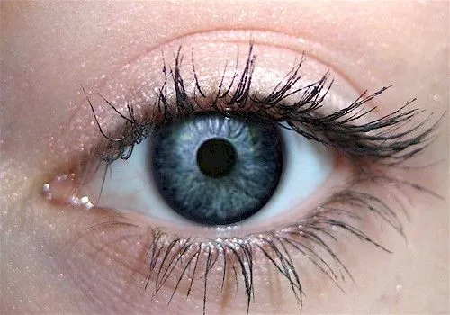 Chamomile Eyeshadow
