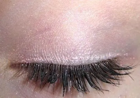 Chamomile Eyeshadow