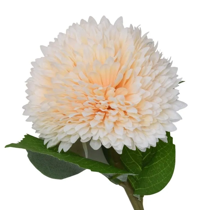 Chrysanthemum Stem (Light Peach)