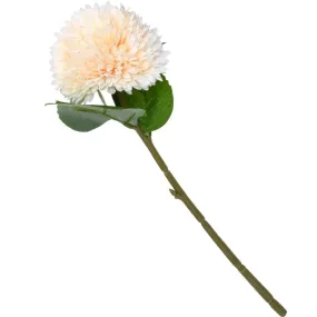 Chrysanthemum Stem (Light Peach)