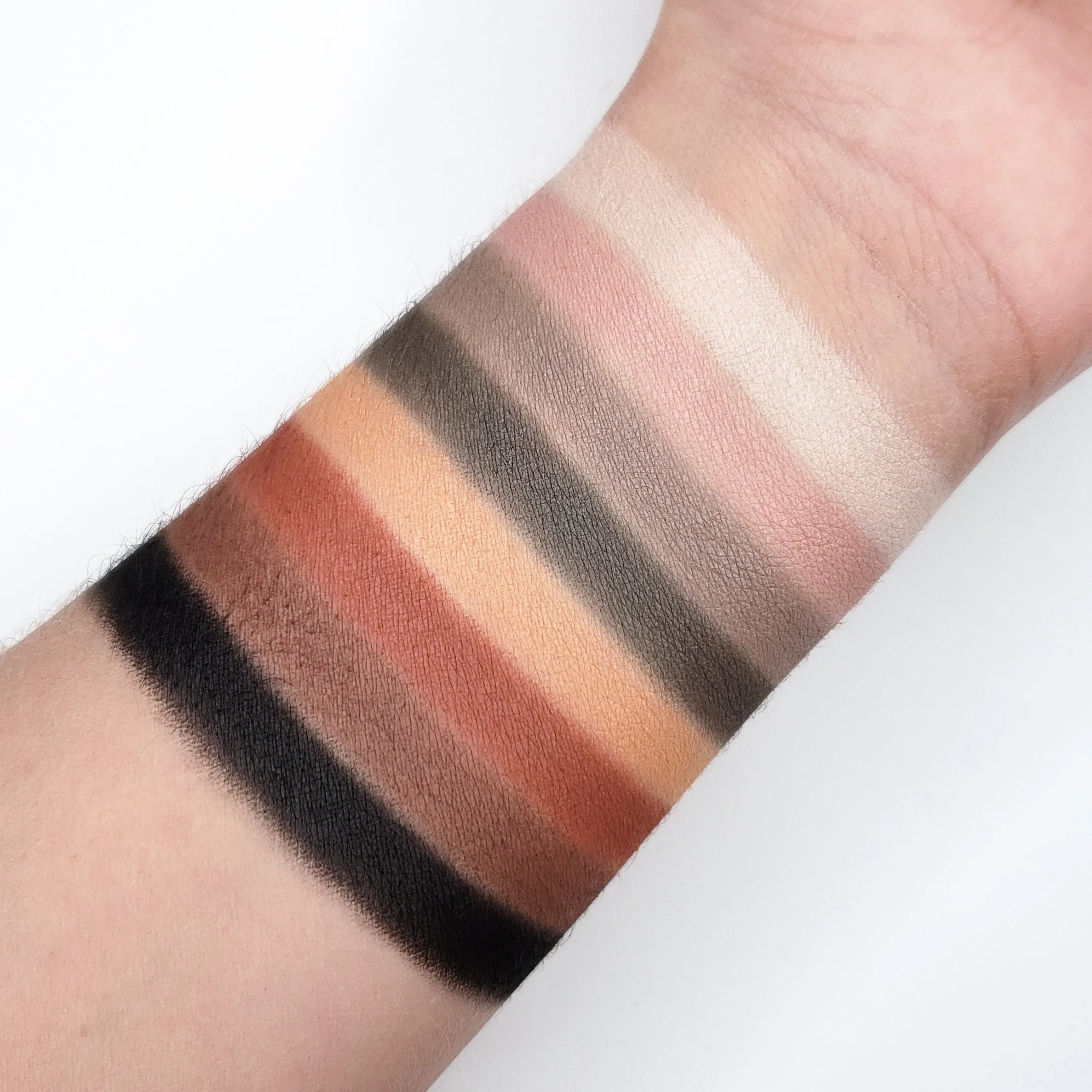 Crown Pro Eyeshadow Bold Collection CP08