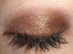 Espresso Eyeshadow