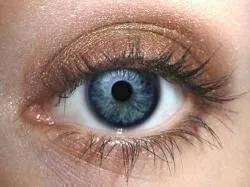 Espresso Eyeshadow