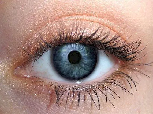Mangosteen Eyeshadow