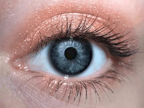 Rose Gold Eyeshadow